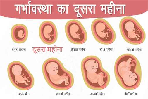 Keep these important precautions in the second month of pregnancy in Hindi