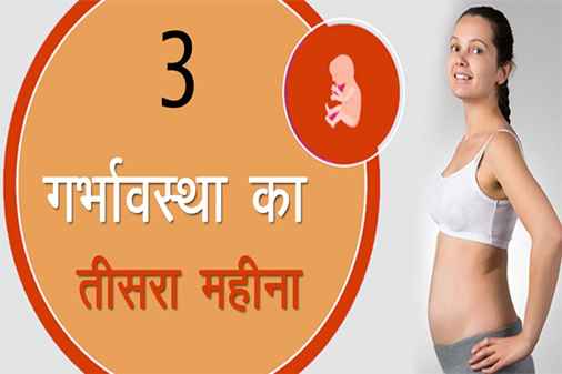 गर्भावस्था का तीसरा महीना | Third Month of Pregnancy in Hindi | लक्षण, शारीरिक परिवर्तन, भ्रूण का विकास, आहार तथा सावधानियाँ