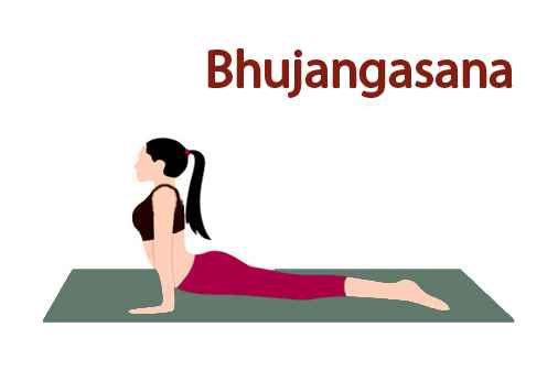 How to do Bhujangasana in Hindi