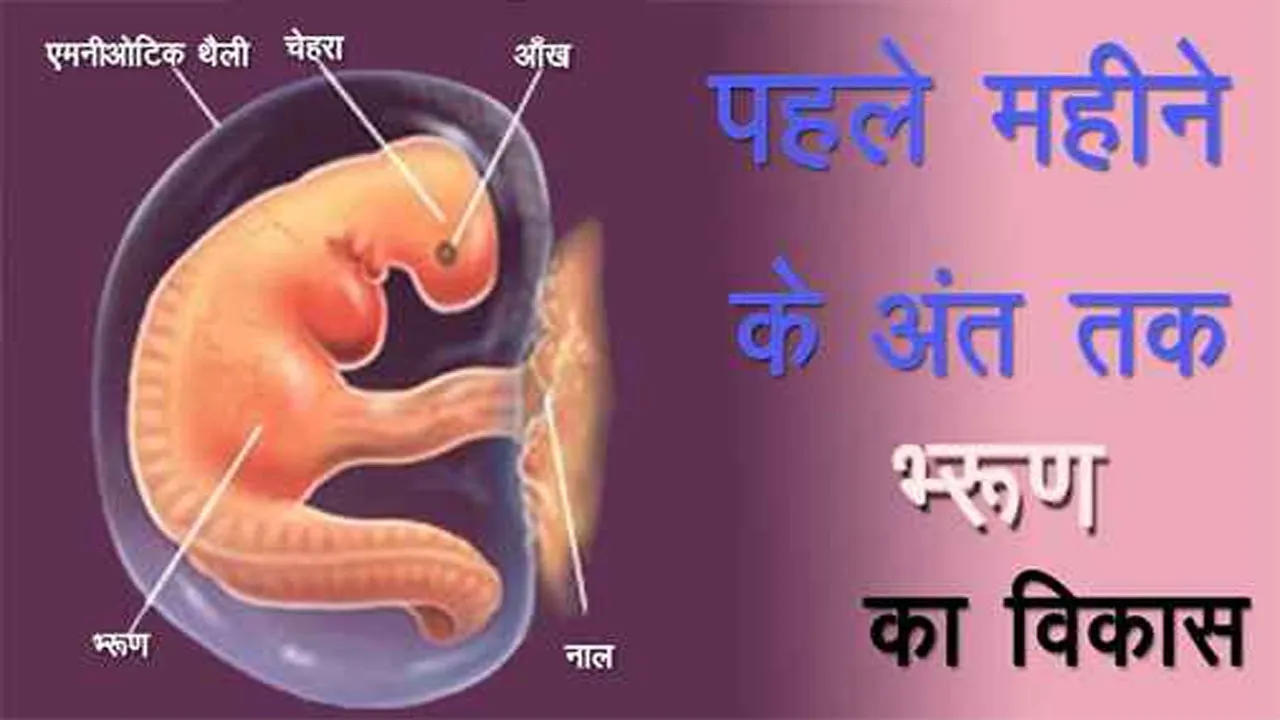 Pregnancy ka Pehla Mahina : लक्षण, शारीरिक बदलाव, भ्रूण का विकास, आहार तथा सावधानियाँ