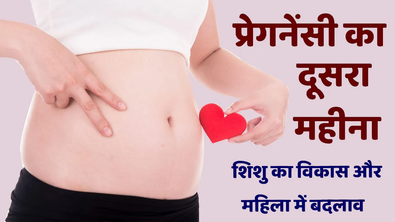 Pregnancy ka Dusra Mahina: 2 Month of Pregnancy in Hindi